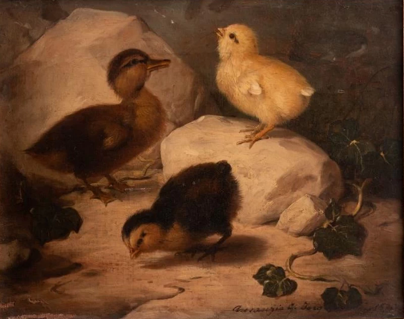 Pulcini e anatroccolo